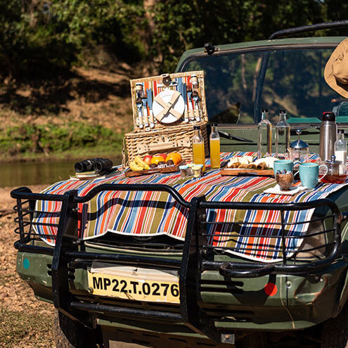 jeep safaris in india