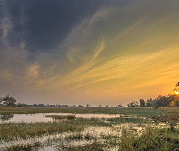 tadoba tiger reserve