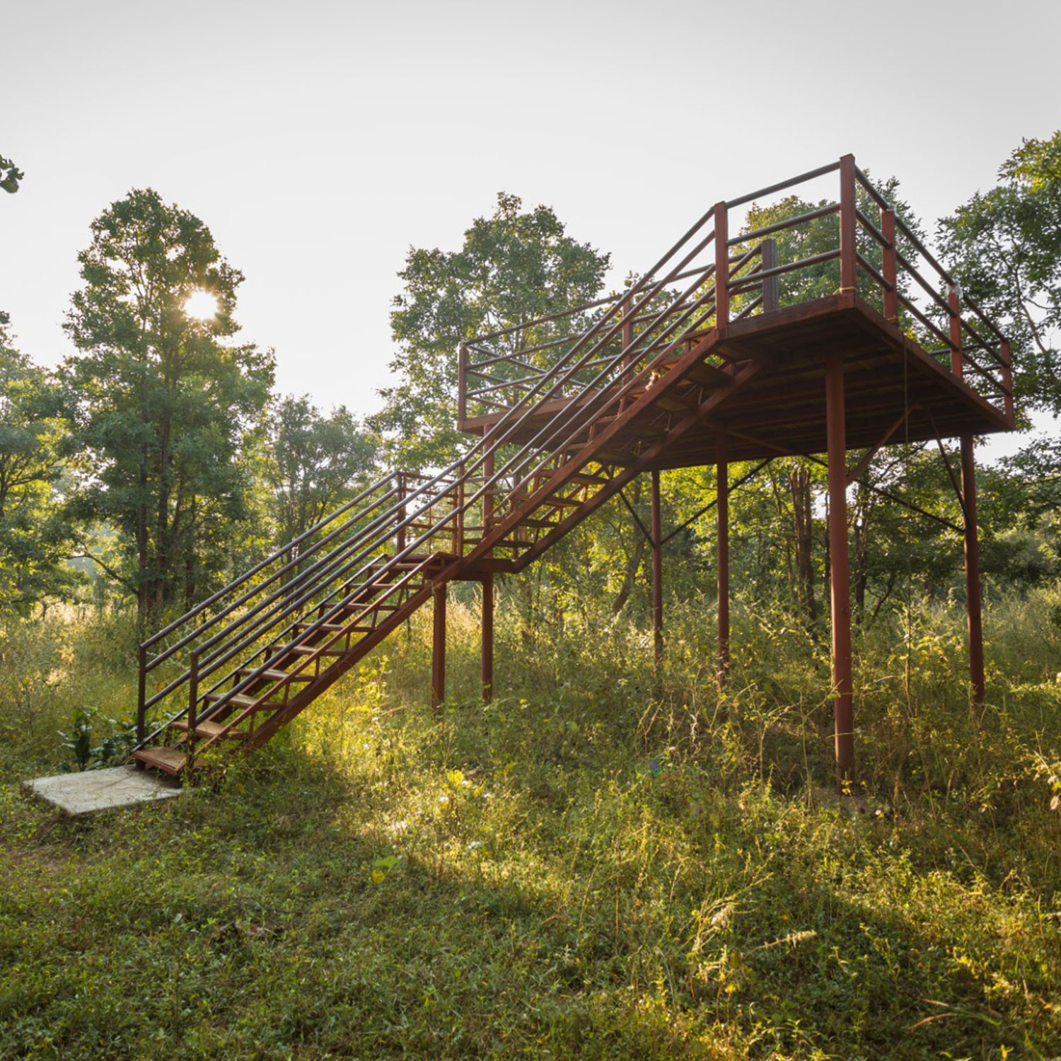 kanha national park