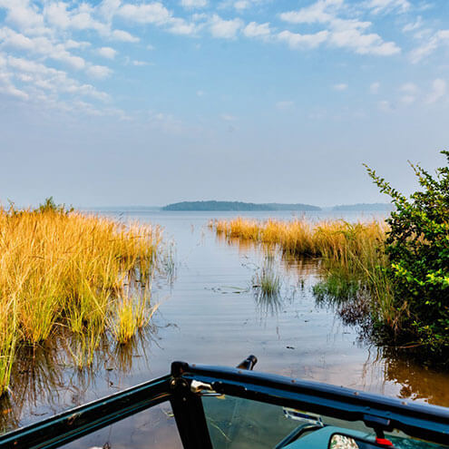 tiger safaris in madhya pradesh