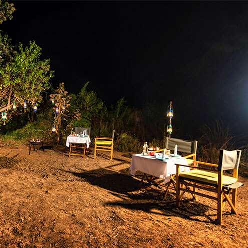 pench jungle camp