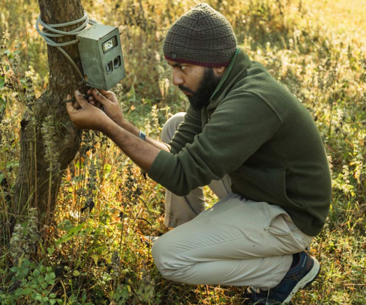 tadoba jungle tours