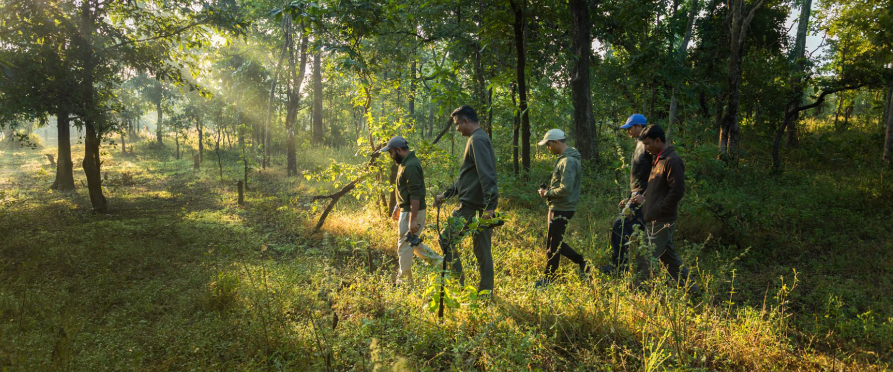 tiger reserve in maharashtra