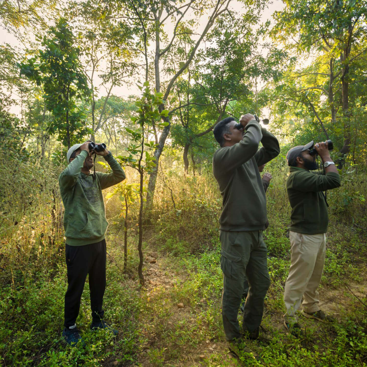 jeep safaris in india