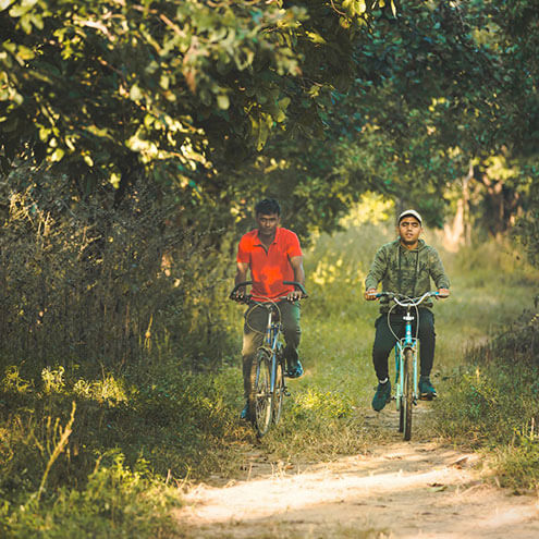 tadoba national park