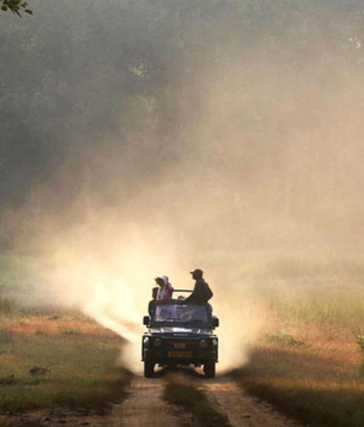 kanha national park