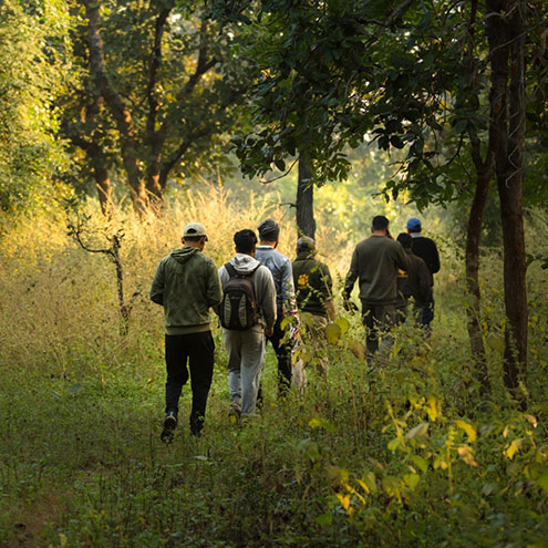 tiger reserve in madhya pradesh