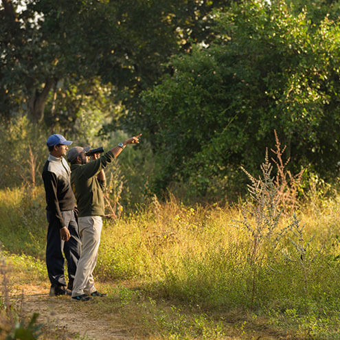 kanha national park