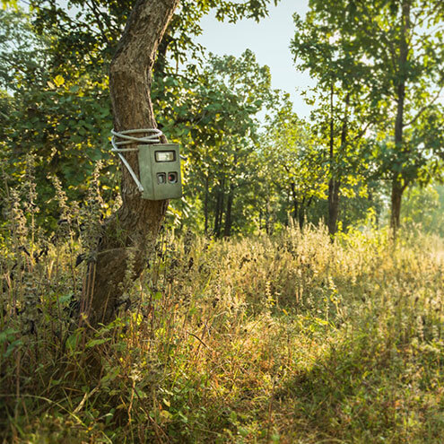 rukhad tiger reserve