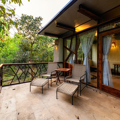 tadoba jungle camp