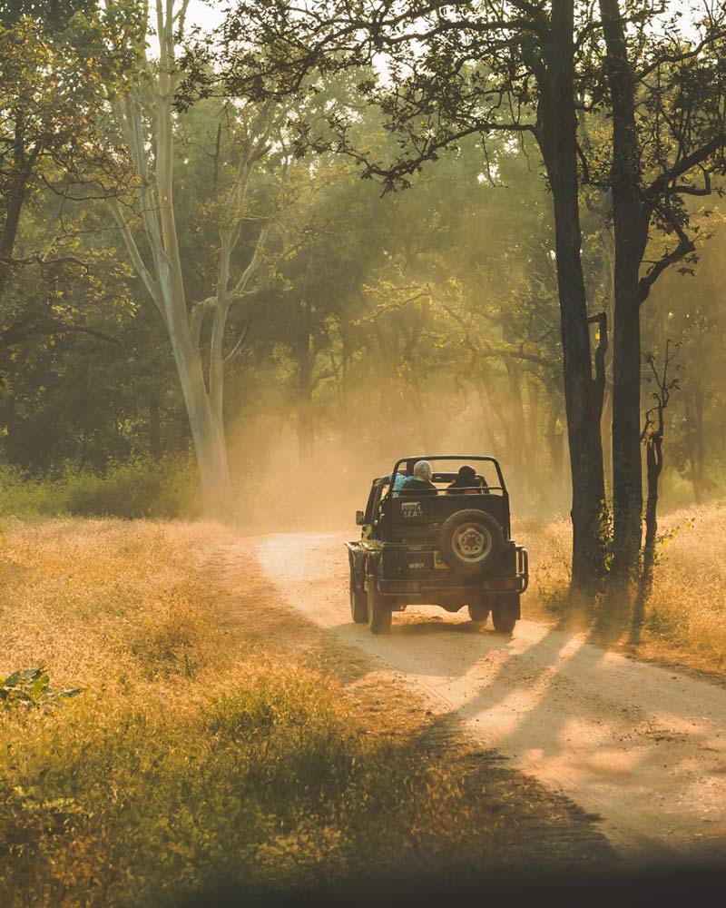 tadoba jungle camp