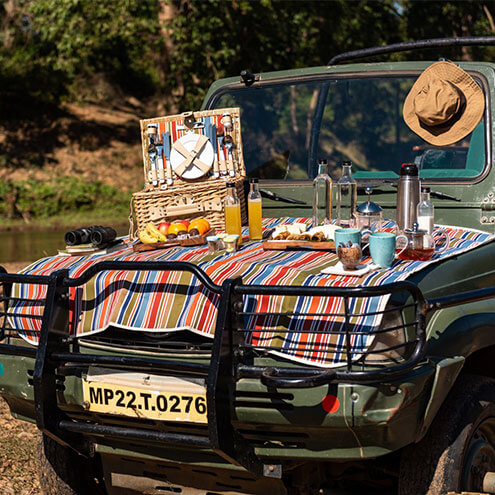 tadoba safari booking price