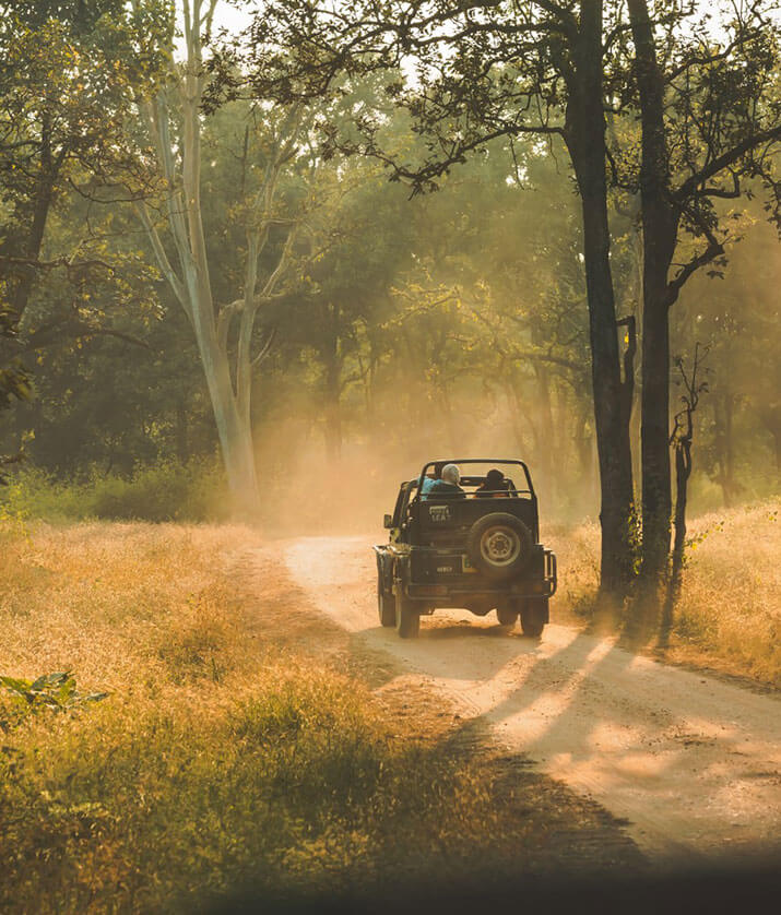 luxury tiger safari in india