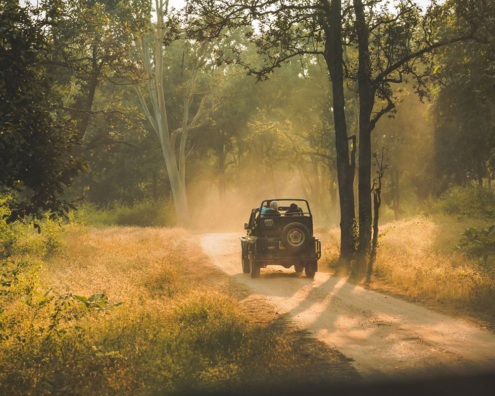 tiger reserve in madhya pradesh