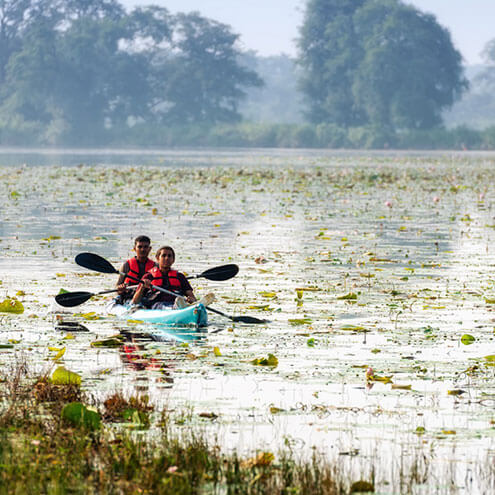 kanha national park safari