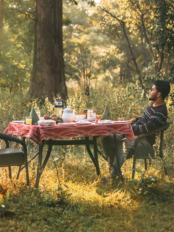 tadoba tiger reserve