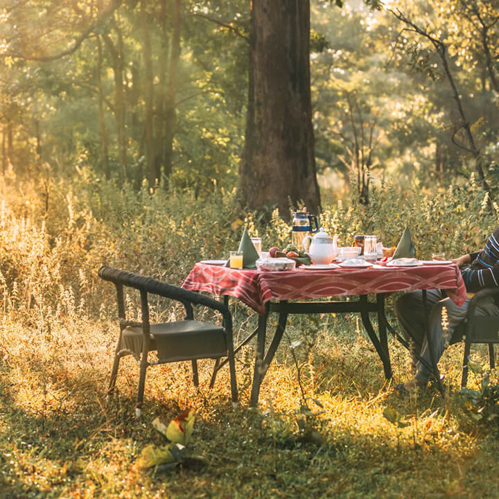 tadoba andhari tiger reserve