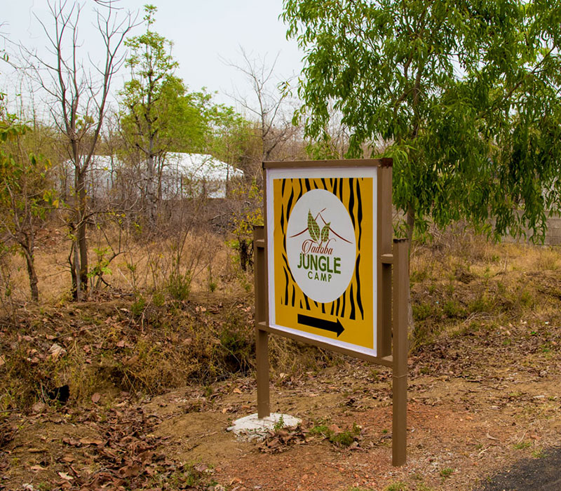 best jungle safari in india