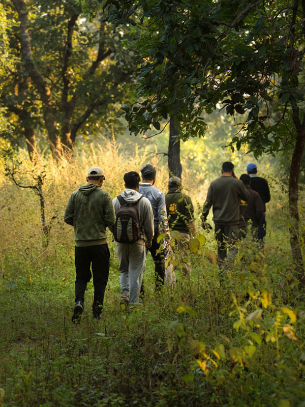 tadoba national park