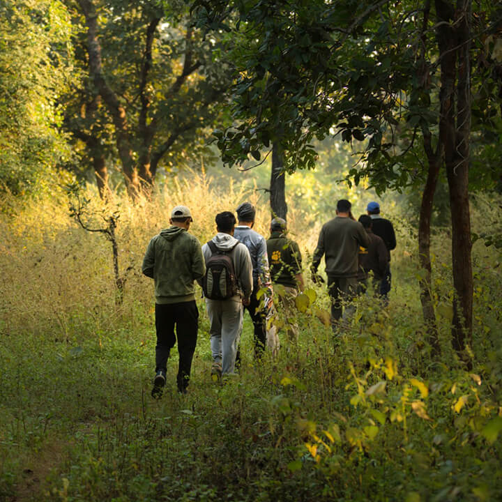 kanha national park safari