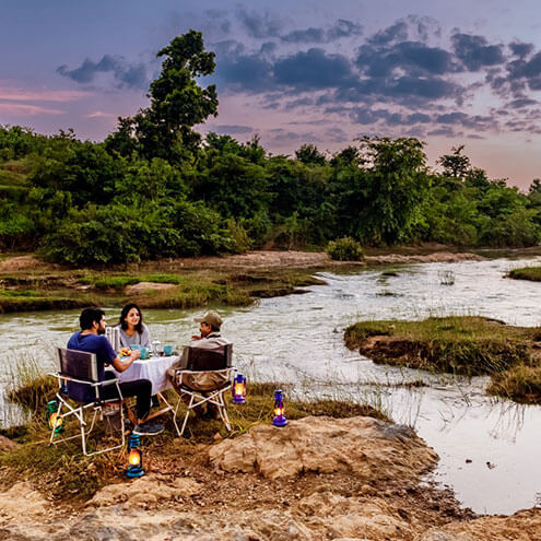 tadoba andhari tiger reserve