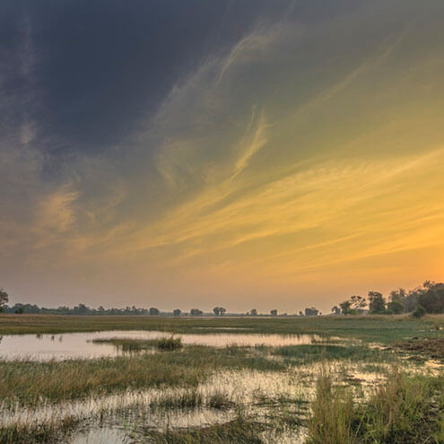 tadoba jungle camp