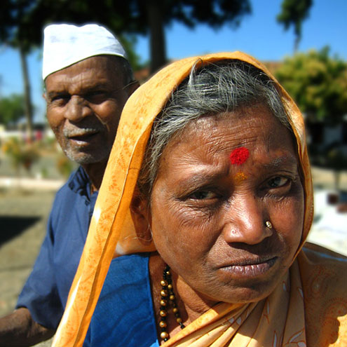 tiger safaris in madhya pradesh