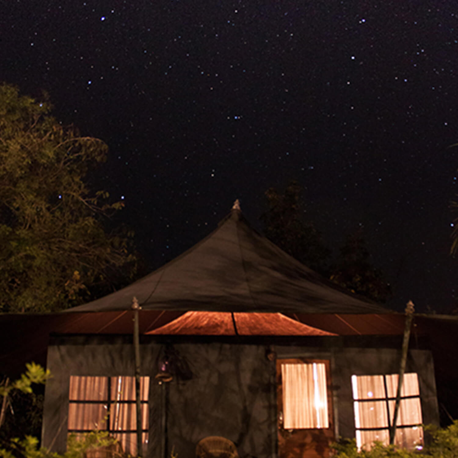 tadoba safari stay jungle lodge