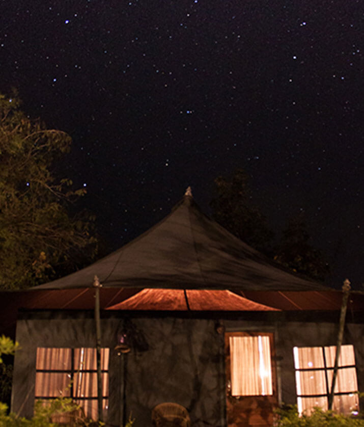 jeep safari in madhyapradesh