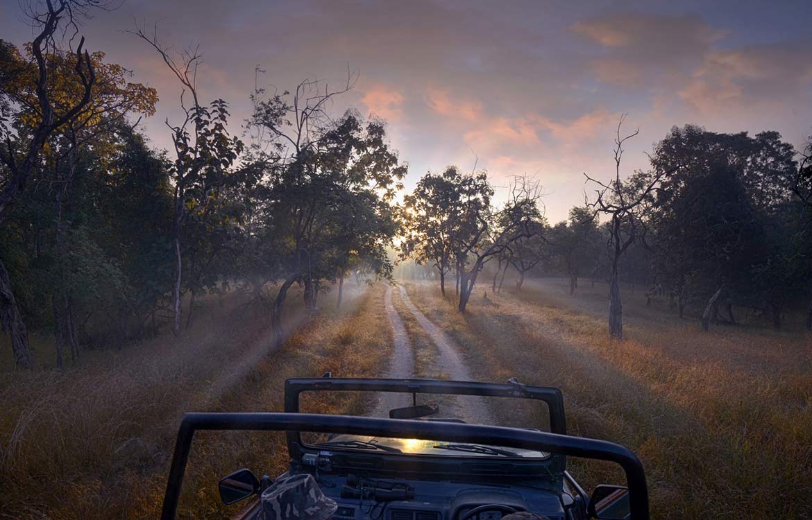 jungle safari india