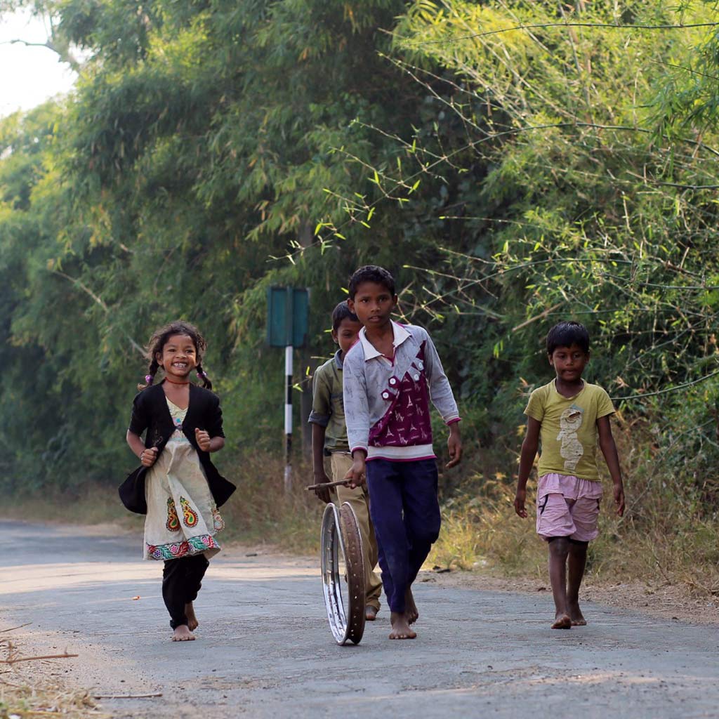 tiger safaris in madhya pradesh